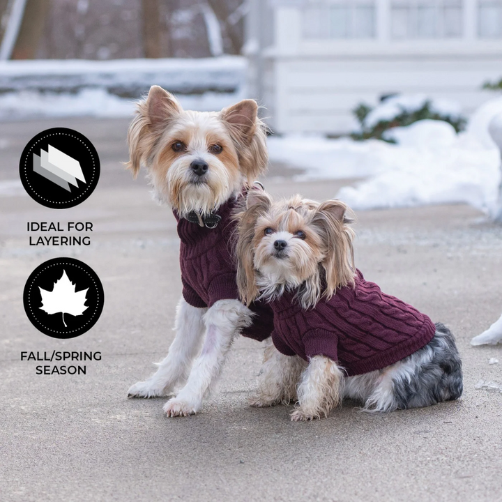 Shedrow K9 Dog Apparel - Brentwood Cable Knit Dog Sweater