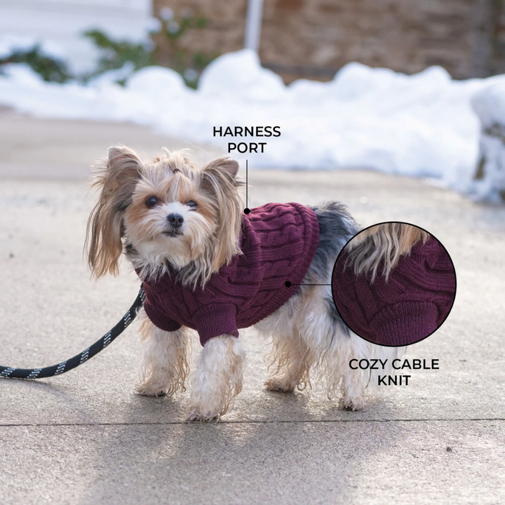 Shedrow K9 Dog Apparel - Brentwood Cable Knit Dog Sweater