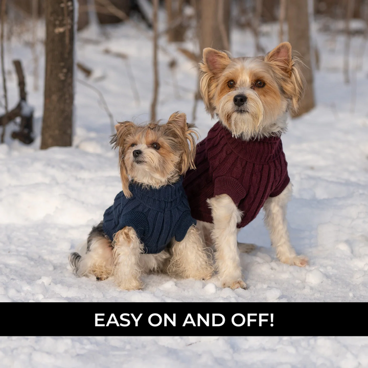 Shedrow K9 Dog Apparel - Brentwood Cable Knit Dog Sweater