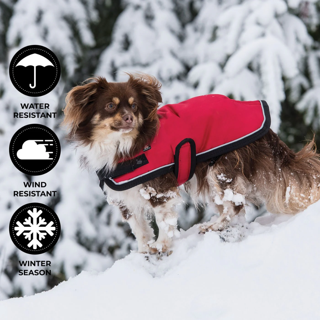 Shedrow K9 Dog Apparel - Tundra Coat