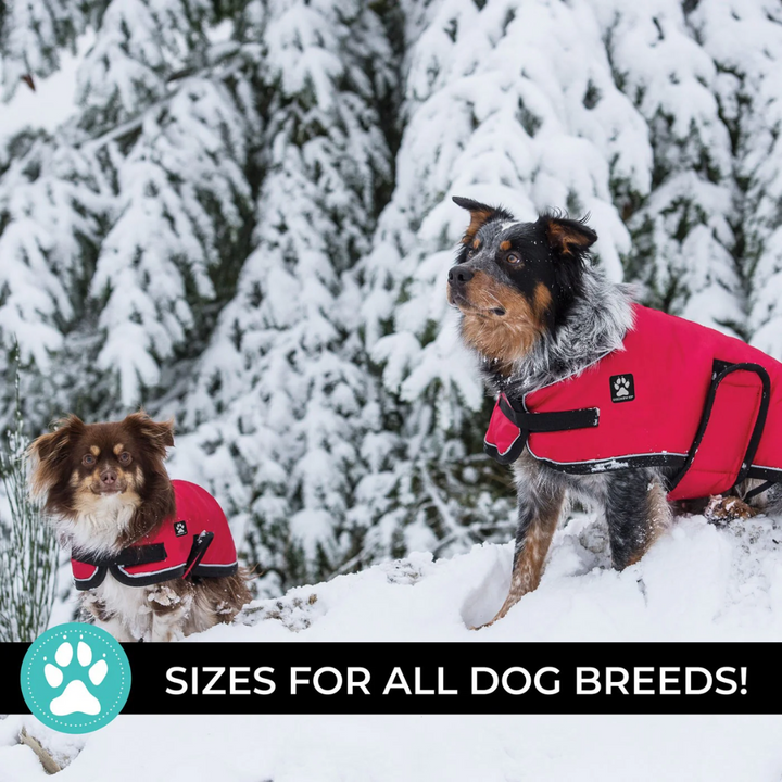 Shedrow K9 Dog Apparel - Tundra Coat