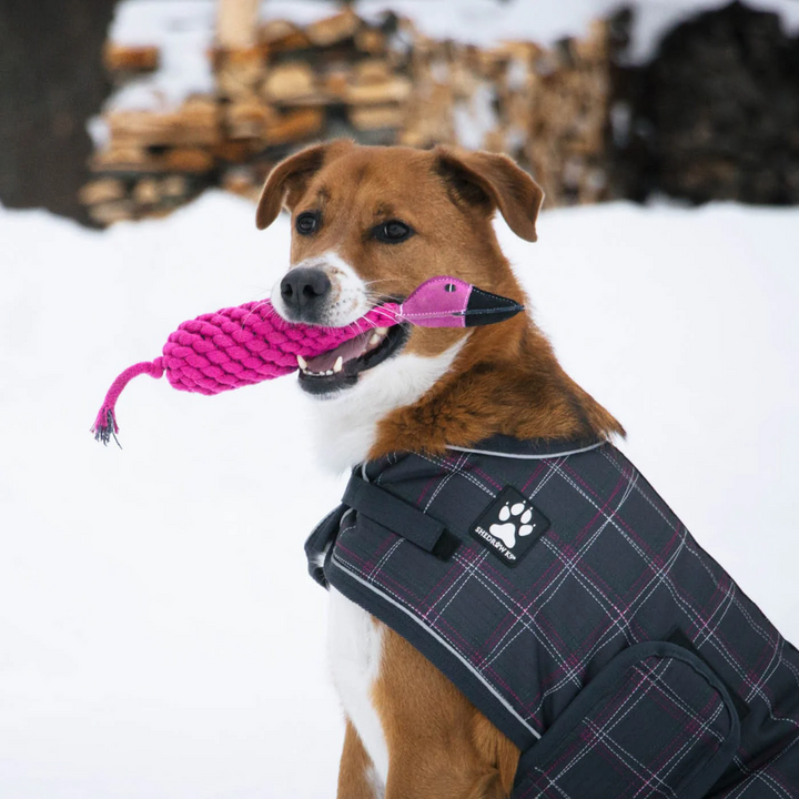 Shedrow K9 Dog Toys - Flamingo Rope & Water Bottle