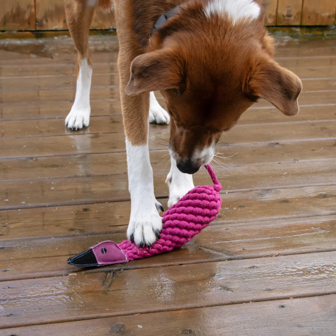 Shedrow K9 Dog Toys - Flamingo Rope & Water Bottle