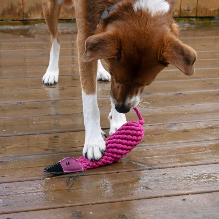 Shedrow K9 Dog Toys - Flamingo Rope & Water Bottle