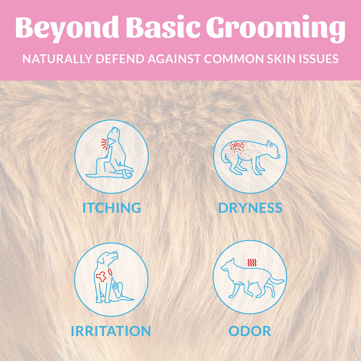 Skout's Honor Dog Deodorizers - Probiotic Deodorizer