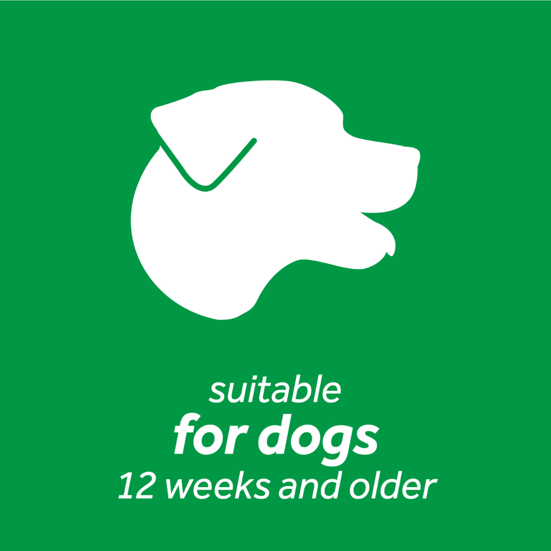 Tropiclean Dog Dental Care - Fresh Breath Oral Care Gel for Dogs – Peanut Butter Flavor