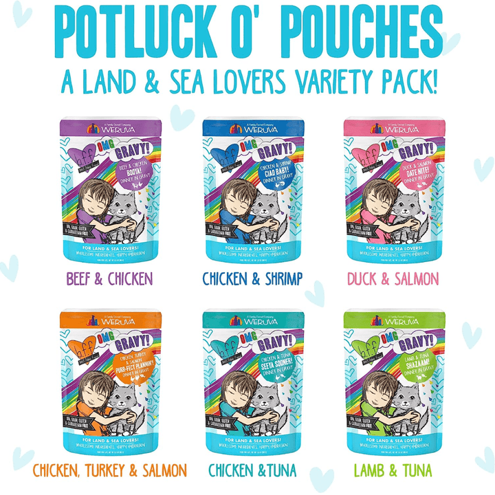 Weruva Cat Wet - BFF OMG Gravy Potluck O' Pouches Variety Pack