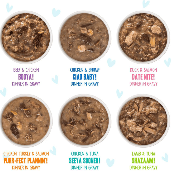 Weruva Cat Wet - BFF OMG Gravy Potluck O' Pouches Variety Pack