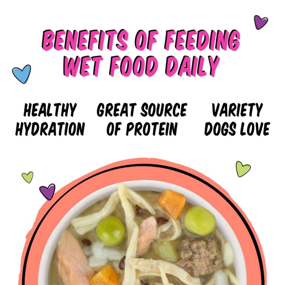 Weruva Wet Dog Food - BFF Best Fido Friend  We Be Jammin' with Chicken Breast, Rice, Pumpkin & Salmon Cup
