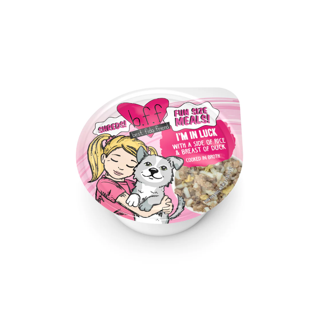 Weruva Wet Dog Food -BFF Best Fido Friend  I'm In Luck with a Side of Rice & Breast of Duck Cup