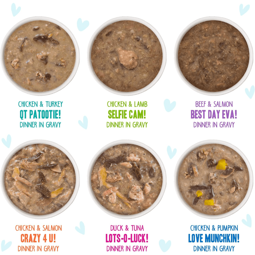 Weruva Wet Cat Food - BFF OMG Rainbow Road Assorted Variety Pack