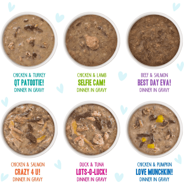 Weruva Wet Cat Food - BFF OMG Rainbow Road Assorted Variety Pack