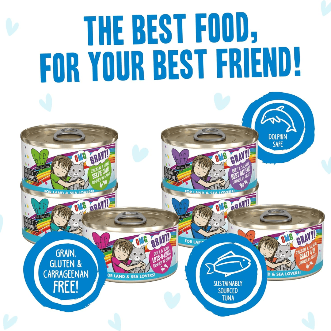 Weruva Wet Cat Food - BFF OMG Rainbow Road Assorted Variety Pack