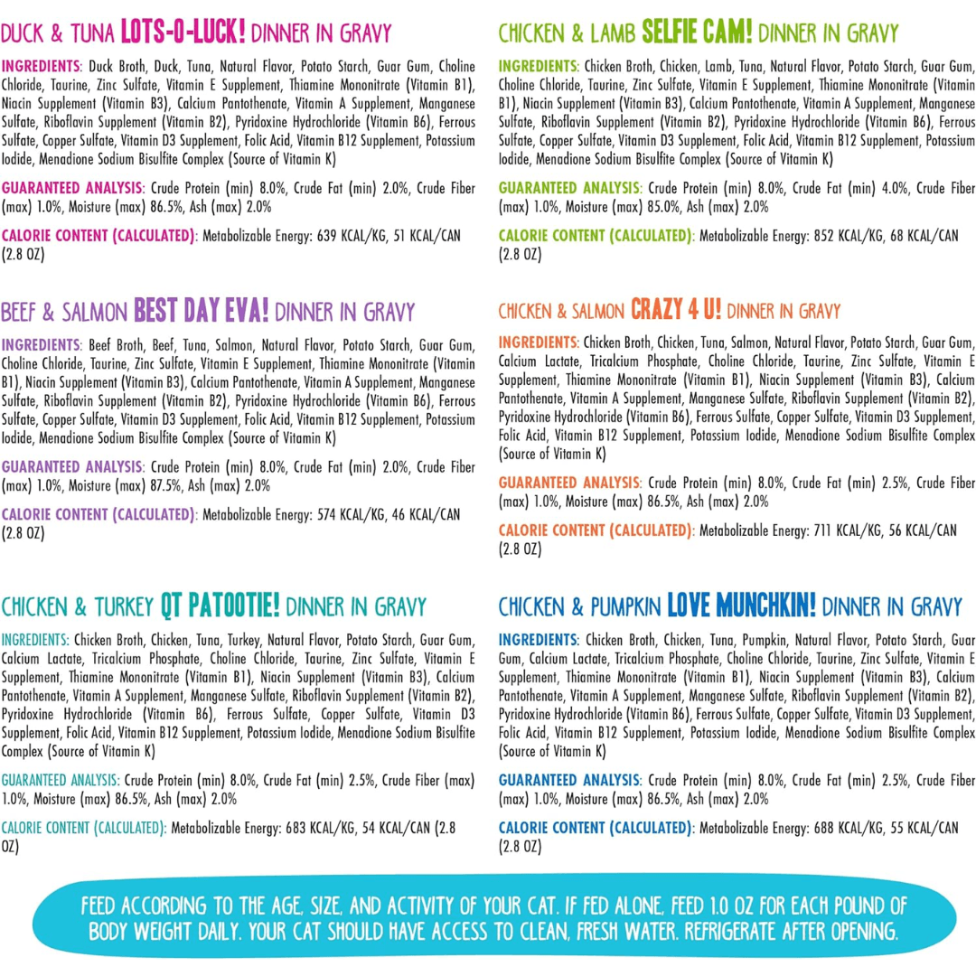 Weruva Wet Cat Food - BFF OMG Rainbow Road Assorted Variety Pack