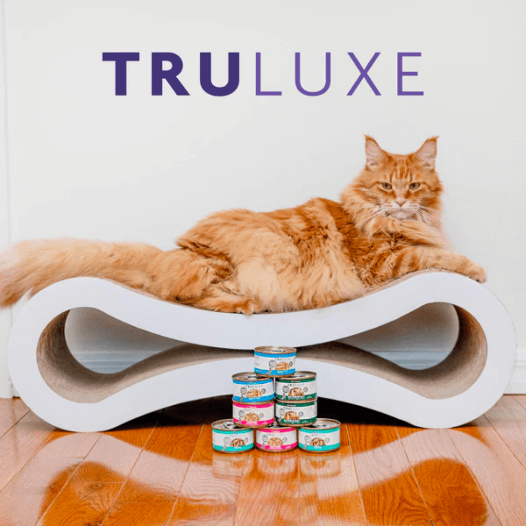 Weruva Wet Cat Food - TRULUXE  Steak Frites Dinner with Beef & Pumpkin in Gravy Canned