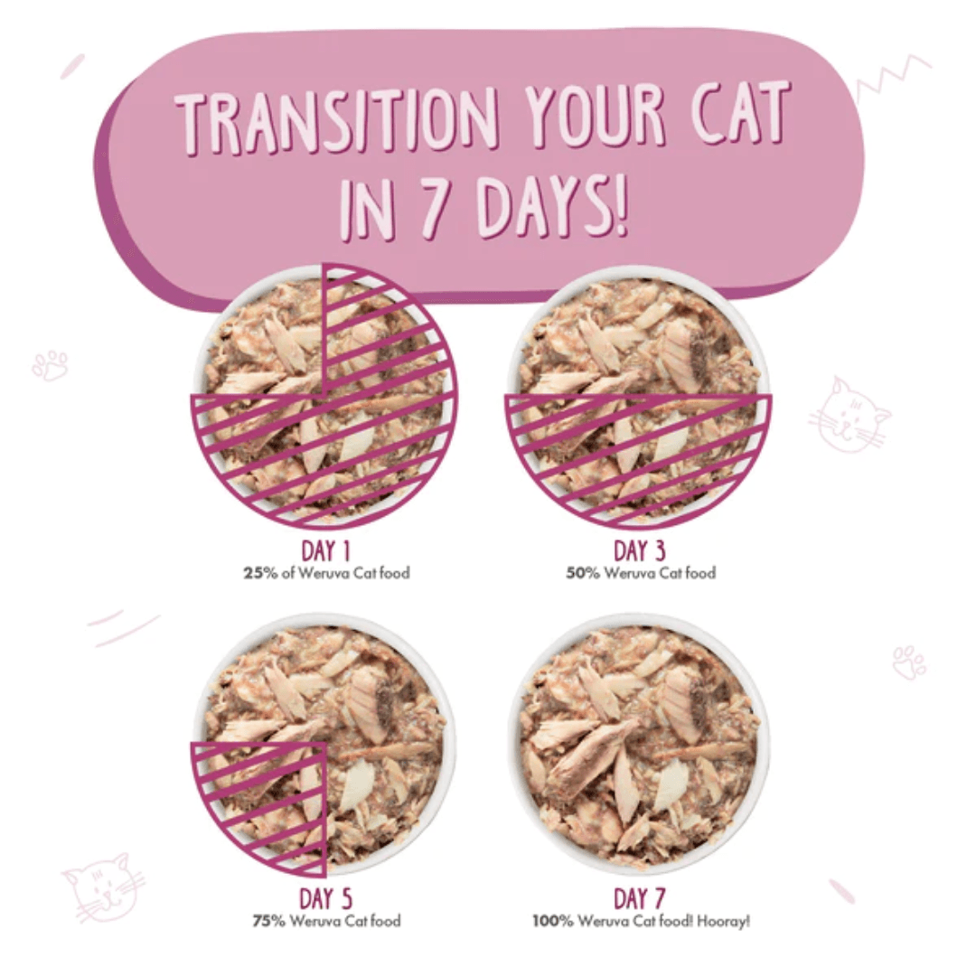 Weruva Wet Cat Food - Weruva Classic Cat Mideast Feast with Grilled Tilapia in Gravy Canned