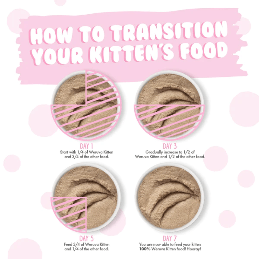 Weruva Wet Cat Food - Weruva Kitten Chicken Breast Formula Chicken Breast in a Hydrating Purée Canned