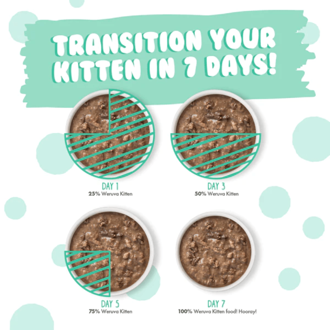 Weruva Wet Cat Food - Weruva Kitten Chicken & Tuna Formula in Gravy Canned