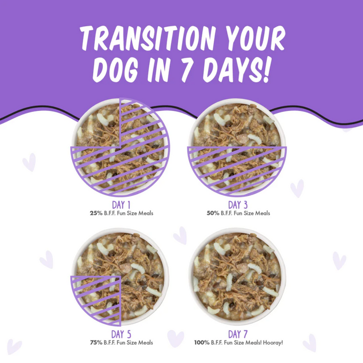 Weruva Wet Dog Food -BFF Best Fido Friend  Oh So Nice with Sirloin Tips & Rice Cup