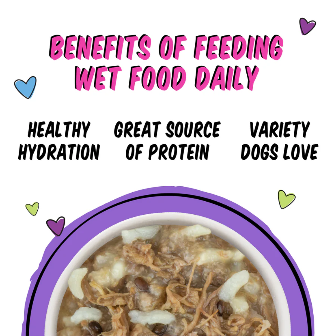 Weruva Wet Dog Food -BFF Best Fido Friend  Oh So Nice with Sirloin Tips & Rice Cup