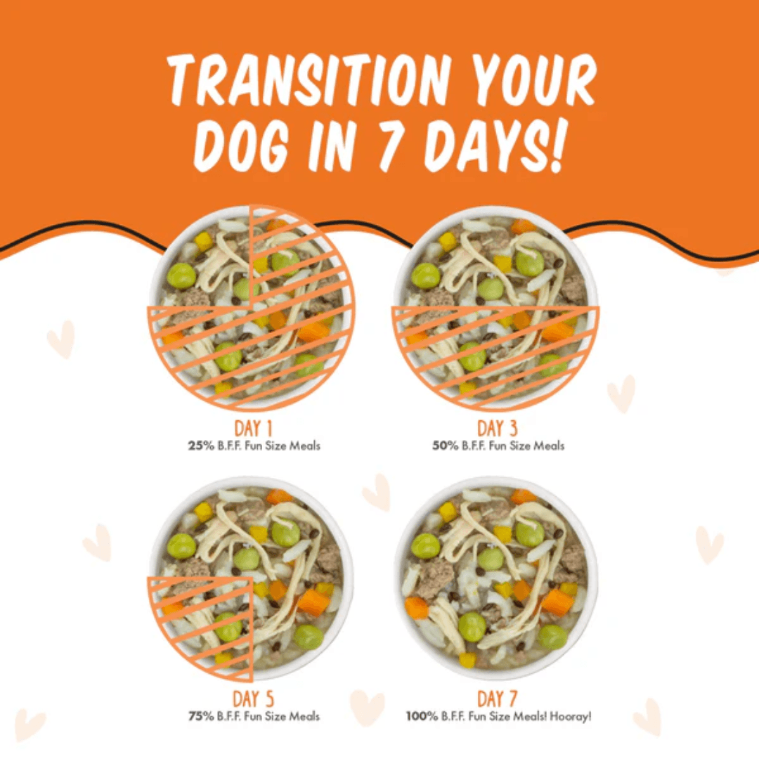 Weruva Wet Dog Food - BFF Fun Size Meals You My Munchkin with Chicken Breast, Rice and Pumpkin Cup
