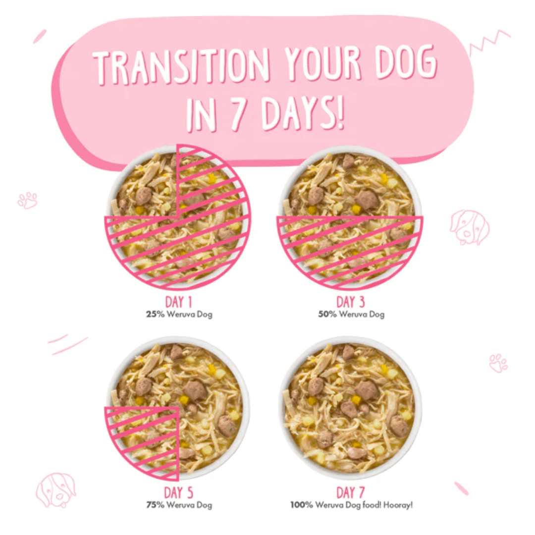 Weruva Wet Dog Food - Classics Amazon Livin' with Chicken & Chicken Liver in Pumpkin Soup Canned