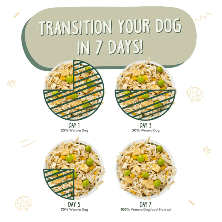 Weruva Wet Dog Food - Green Eggs & Chicken Recipe with Pumpkin in Gravy Canned