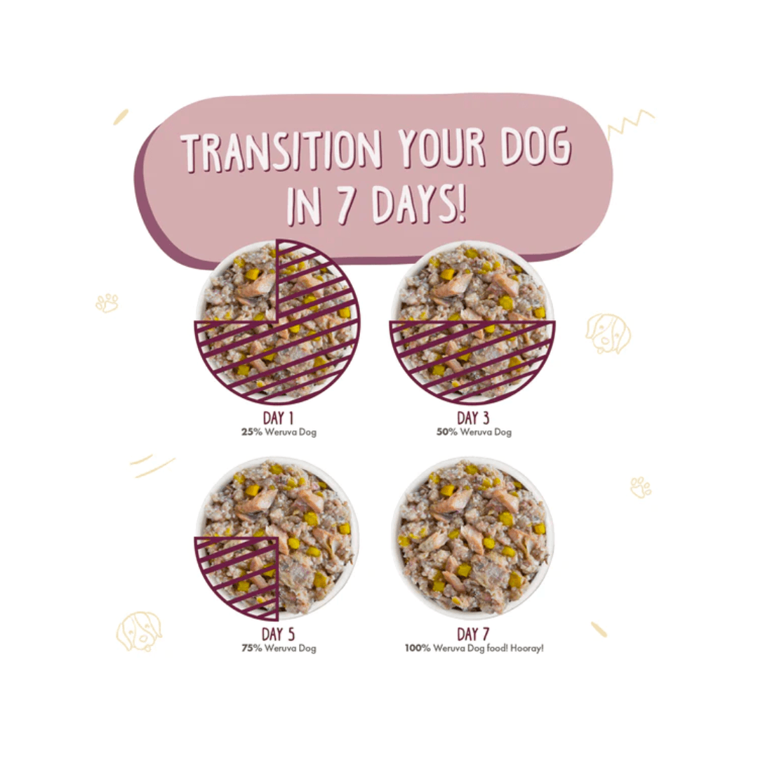 Weruva Wet Dog Food - Hot Dayam! with Luscious Lamb in Gelee Canned