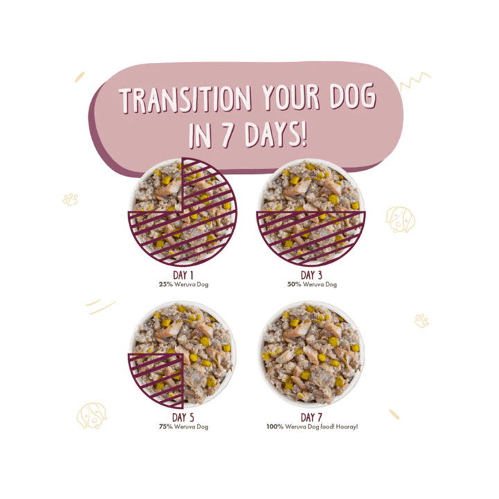 Weruva Wet Dog Food - Hot Dayam! with Luscious Lamb in Gelee Canned