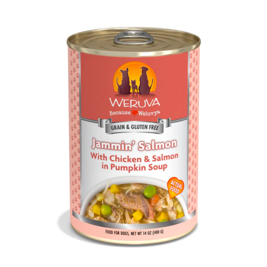 Weruva Wet Dog Food - Classics Jammin' Salmon with Chicken & Salmon in Pumpkin Soup Canned