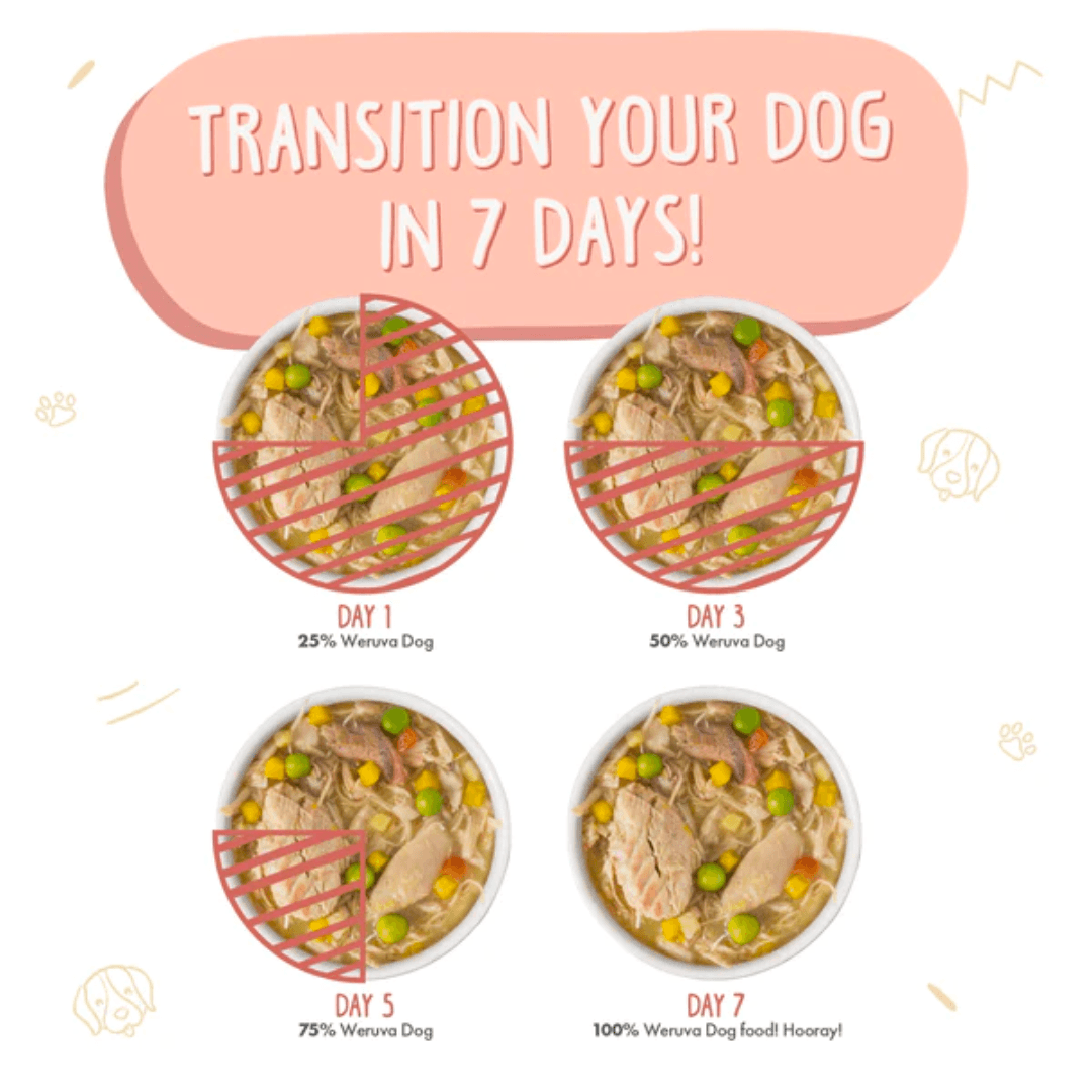 Weruva Wet Dog Food - Classics Jammin' Salmon with Chicken & Salmon in Pumpkin Soup Canned