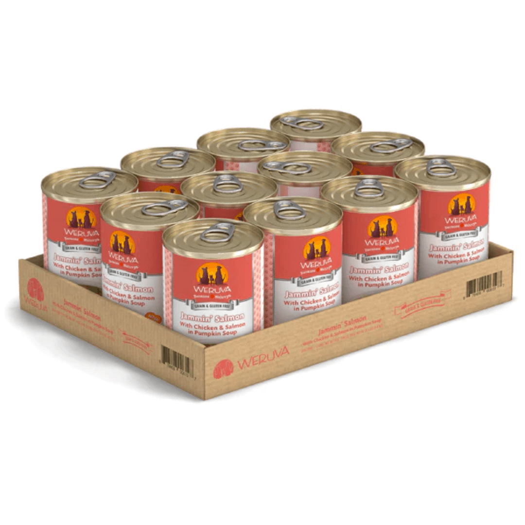 Weruva Wet Dog Food - Classics Jammin' Salmon with Chicken & Salmon in Pumpkin Soup Canned