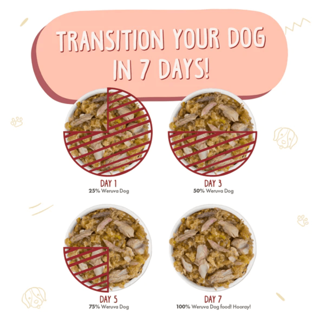 Weruva Wet Dog Food - Marbella Paella with Mackerel & Pumpkin in Aspic Canned