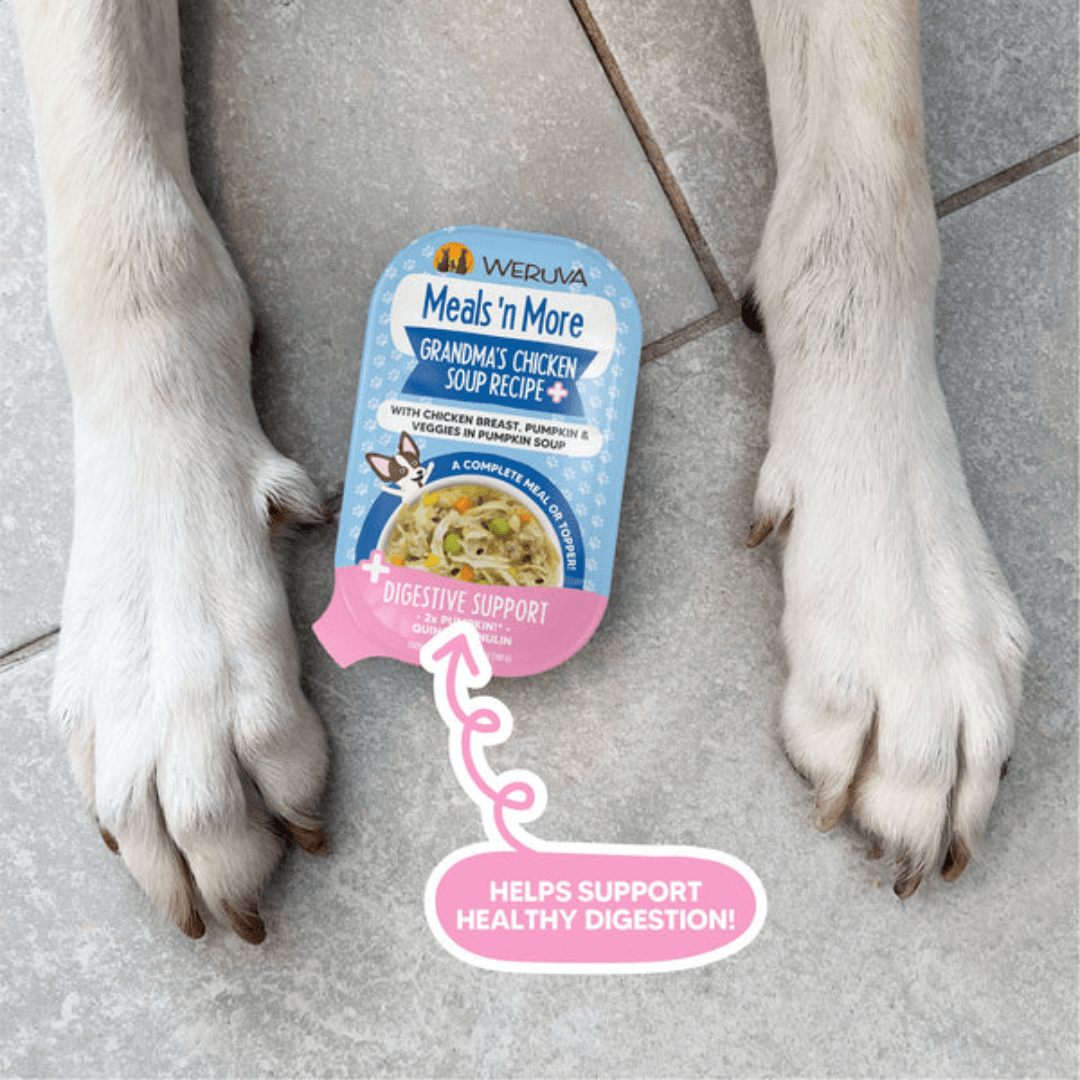 Weruva Wet Dog Food - Meals 'n More Grandma's Chicken Soup Recipe Plus