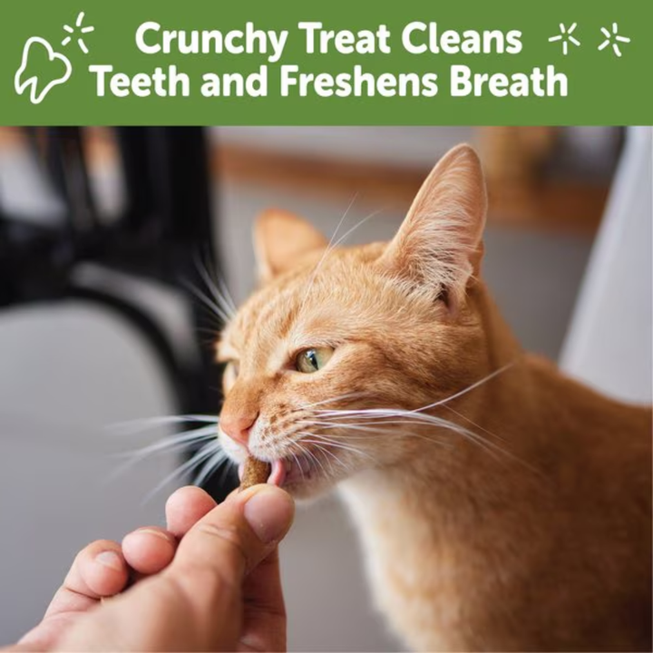 Whimzees Cat Treats - Natural Dental Treats Chicken & Salmon