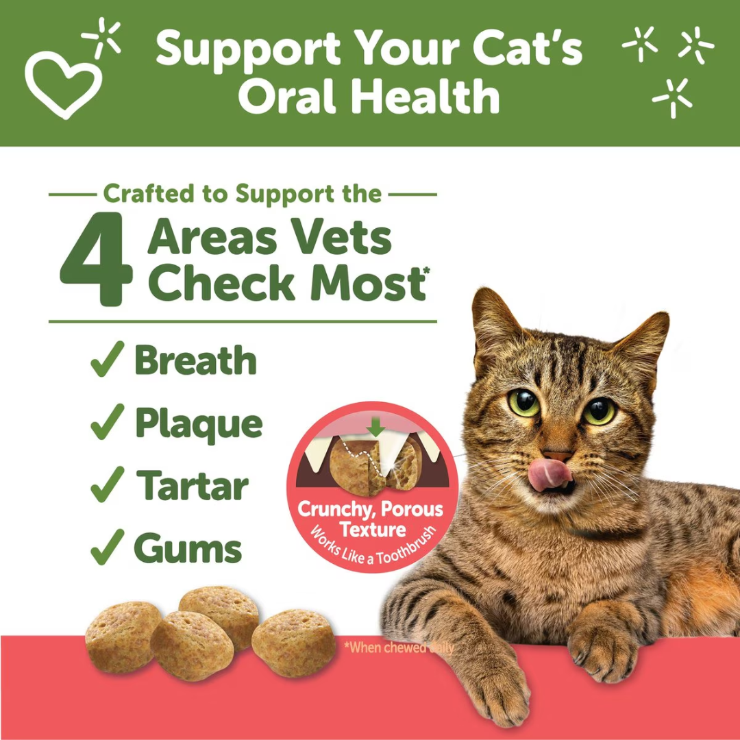 Whimzees Cat Treats - Natural Dental Treats Chicken & Salmon