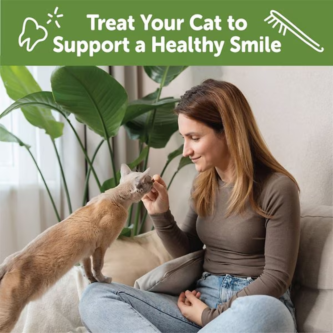 Whimzees Cat Treats - Natural Dental Treats Chicken & Tuna