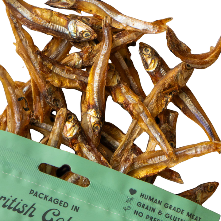 Wild Vibes Freeze-Dried Dog and Cat Treats - Sun-Dried Sardine