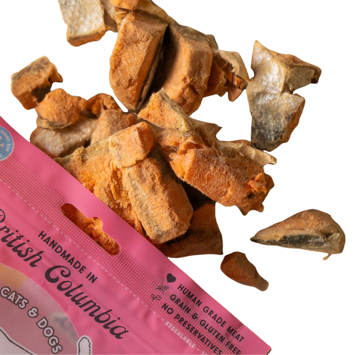 Wild Vibes Freeze-Dried Dog and Cat Treats - Salmon & Bone Broth