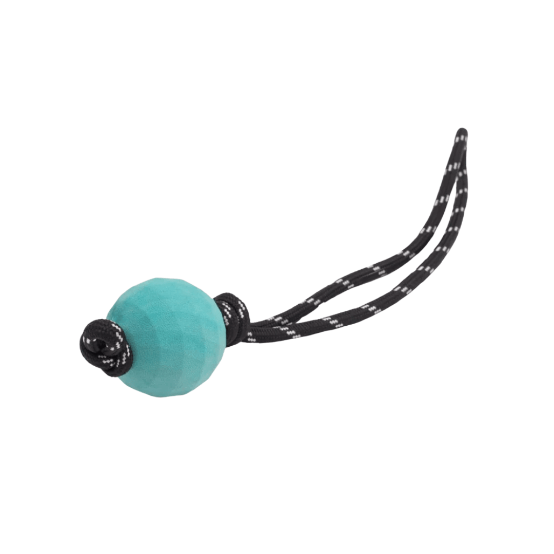 Zippy Paws Dog Toys - ZippyTuff Waggle Ball RopeTugz