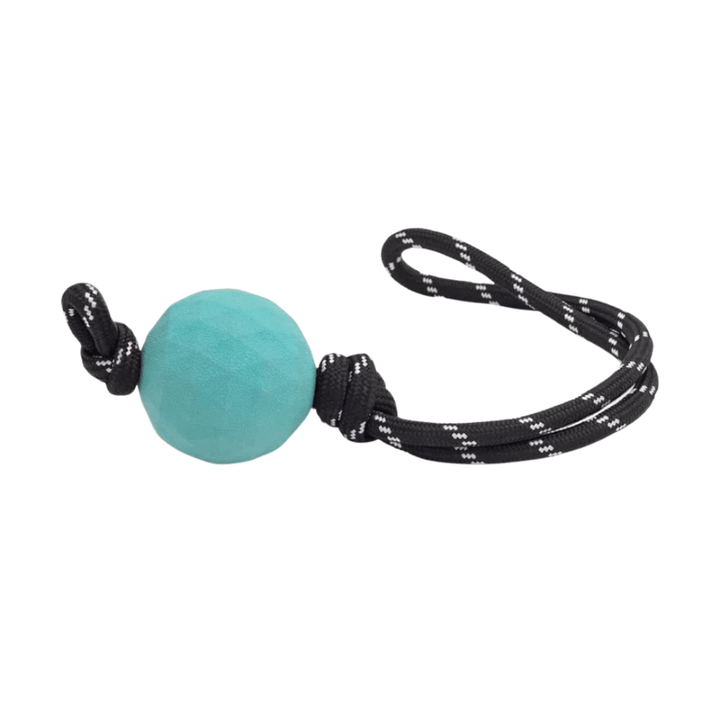 Zippy Paws Dog Toys - ZippyTuff Waggle Ball RopeTugz