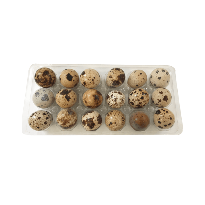 Big Country Raw Frozen Dog Treats - Quail Eggs - Toronto Pets