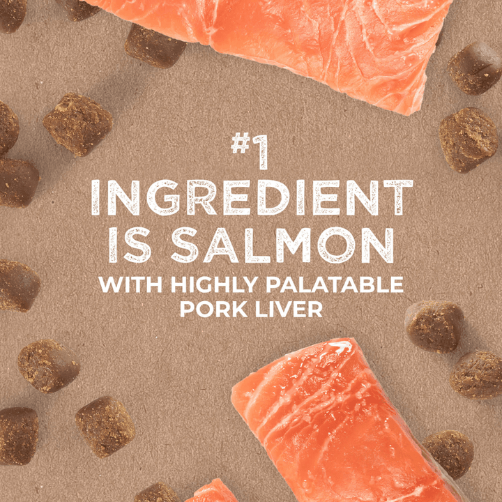 Cloud Star Dog Treats - Tricky Trainers Soft & Chewy Salmon - Toronto Pets