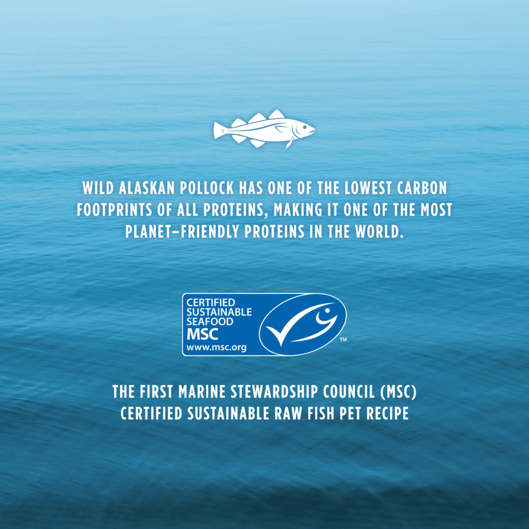 Instinct Freeze Dried Dog Food - Raw Longevity 100% Raw Meals Wild - Caught Alaskan Pollock Recipe - Toronto Pets