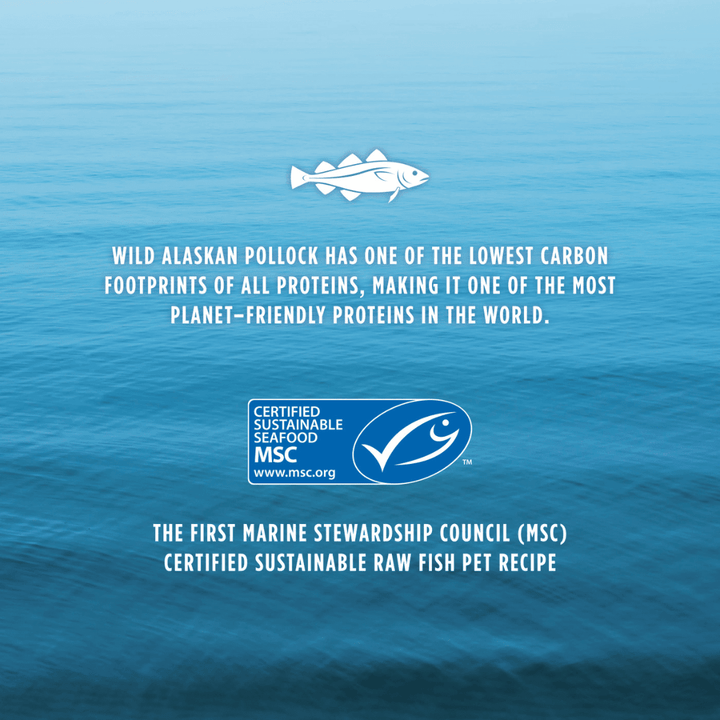 Instinct Freeze Dried Dog Food - Raw Longevity 100% Raw Meals Wild - Caught Alaskan Pollock Recipe - Toronto Pets