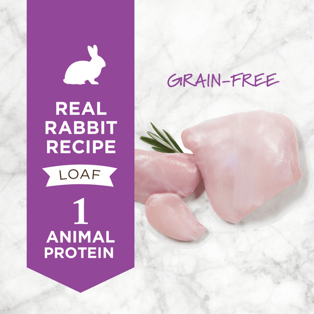 Instinct Wet Dog Food - Limited Ingredient Diet Real Rabbit Recipe Canned - Toronto Pets