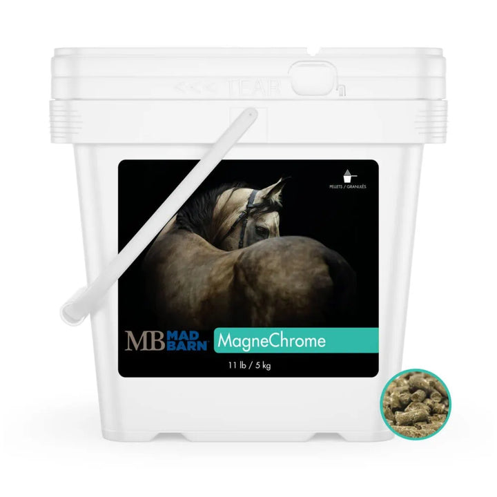 Equine Supplements - Mad Barn MagneChrome