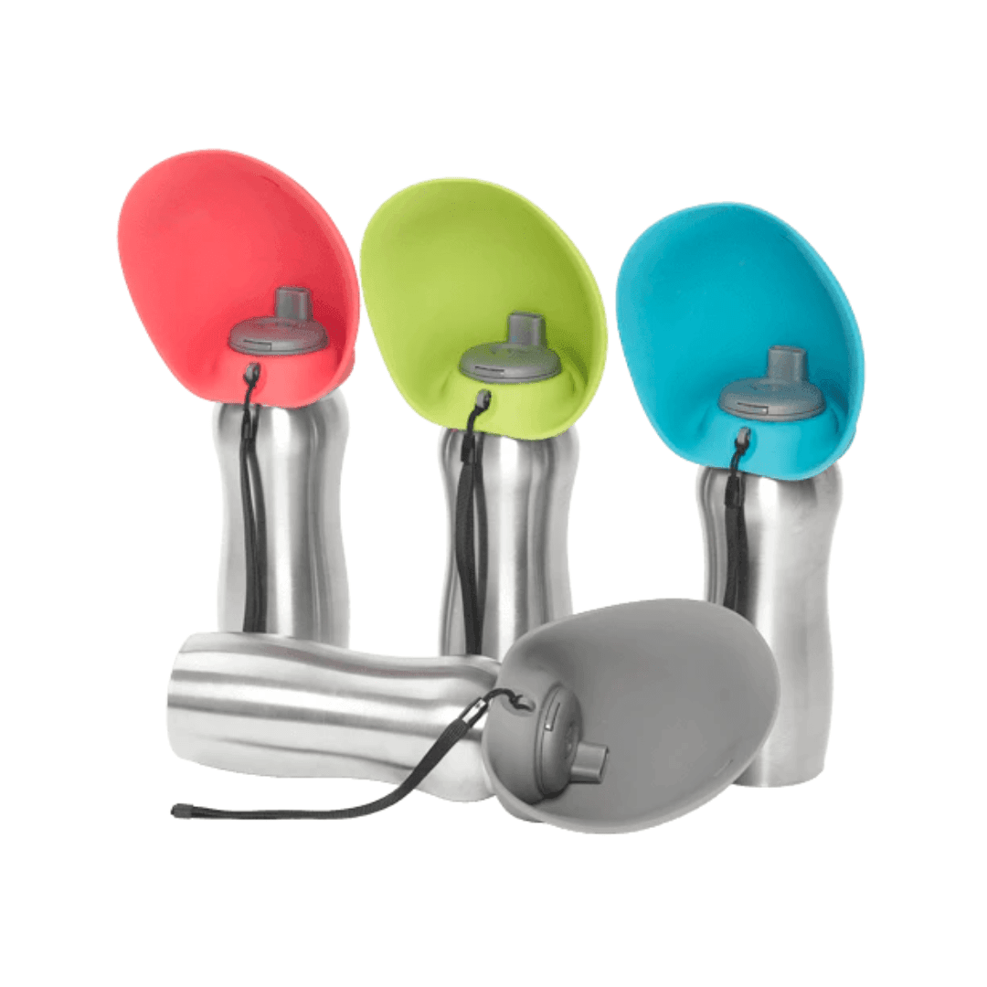 Messy Mutts Dog Bowl - Stainless Steel Travel Water Bottle with Silicone Flip Up Bowl - Toronto Pets