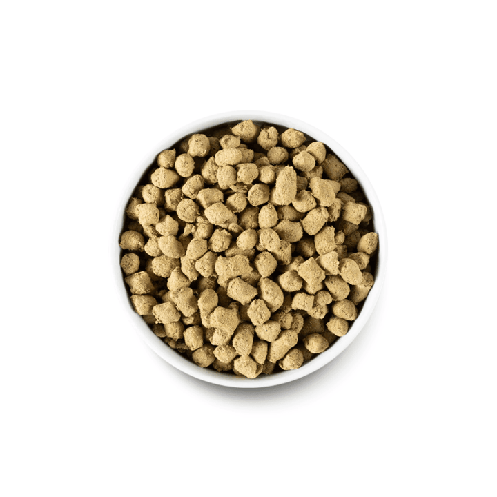 Open Farm Freeze - Dried Raw Dog Food or Mixer - Farmer’s Table Pork - Toronto Pets