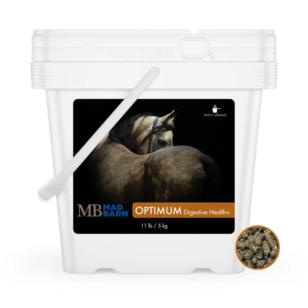 Equine Supplements - Mad Barn Optimum Digestive Health